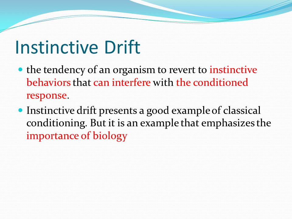 instinctive drift psychology definition