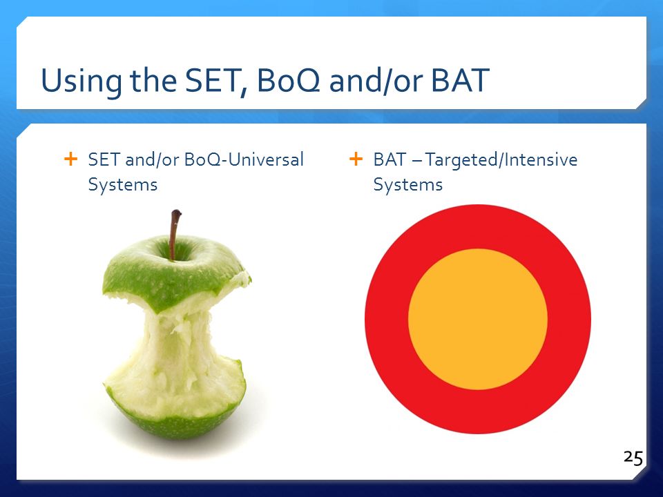 Using the SET, BoQ and/or BAT  SET and/or BoQ-Universal Systems  BAT – Targeted/Intensive Systems 25