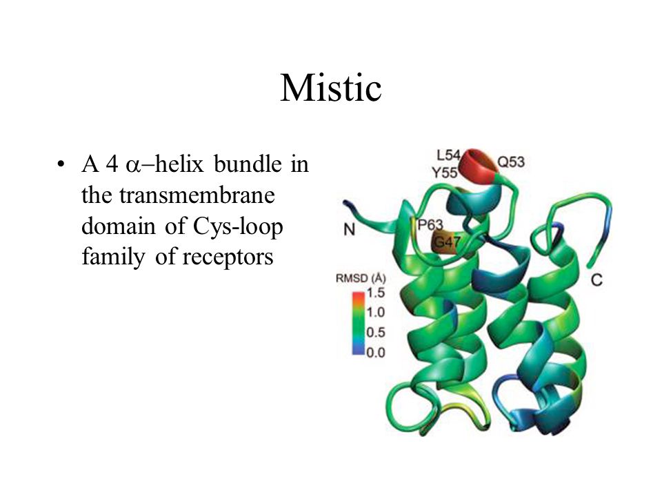 Mistic A 4  helix bundle in the transmembrane domain of Cys-loop family of receptors