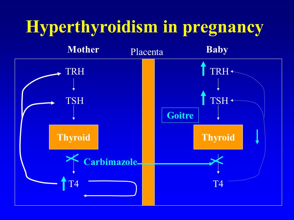 Hyperthyroidism in pregnancy MotherBaby TRH TSH T4 Thyroid TRH TSH T4 Thyroid Carbimazole Placenta Goitre