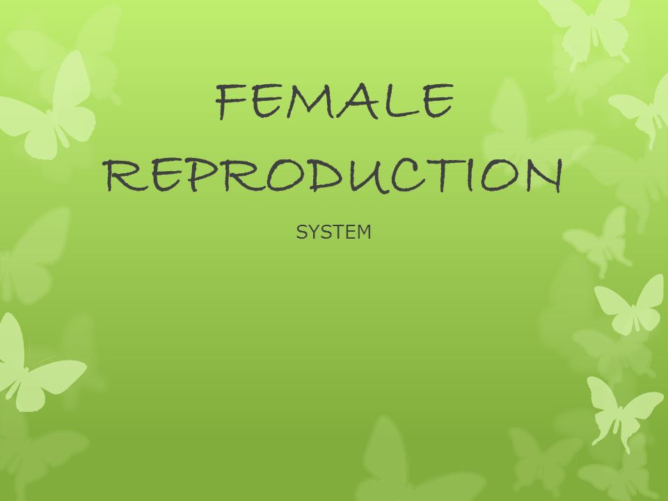Are eggs in the ovaries mature you Are eggs in the ovaries mature