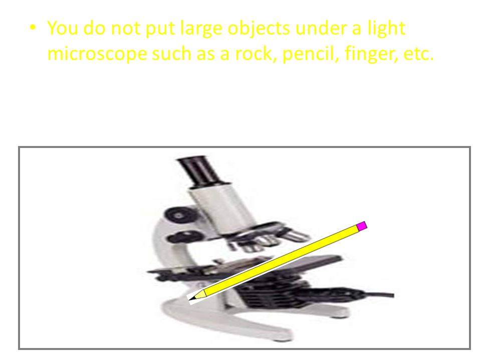 You do not put large objects under a light microscope such as a rock, pencil, finger, etc.