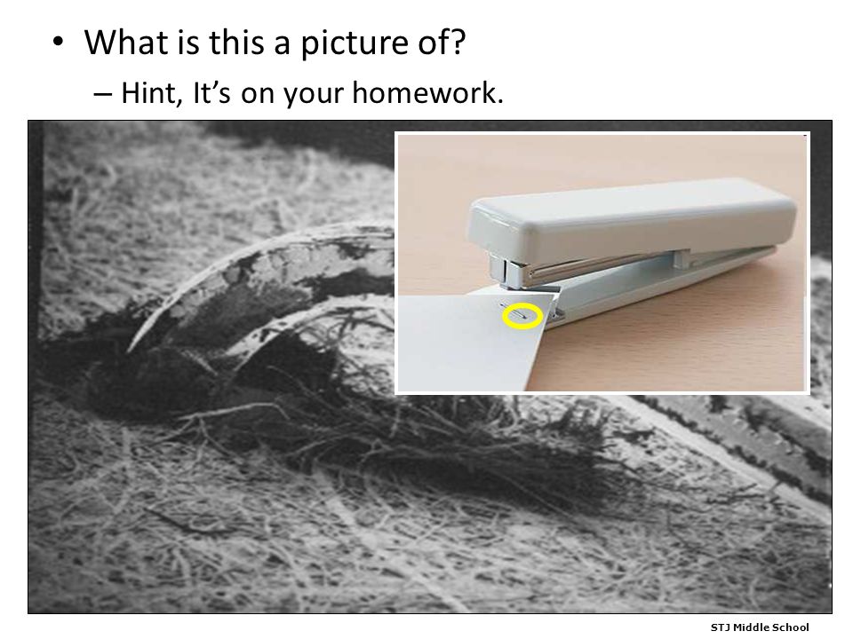 What is this a picture of – Hint, It’s on your homework. STJ Middle School