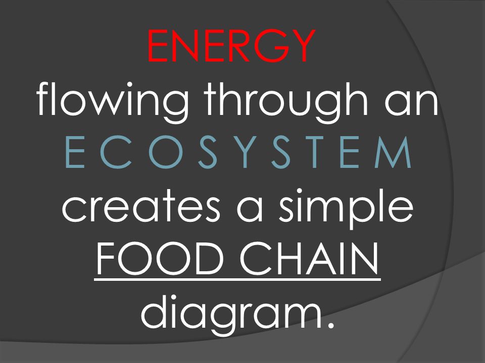 ENERGY flowing through an E C O S Y S T E M creates a simple FOOD CHAIN diagram.
