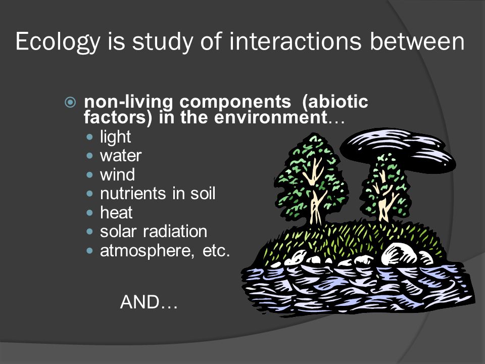Ecology is study of interactions between  non-living components (abiotic factors) in the environment… light water wind nutrients in soil heat solar radiation atmosphere, etc.