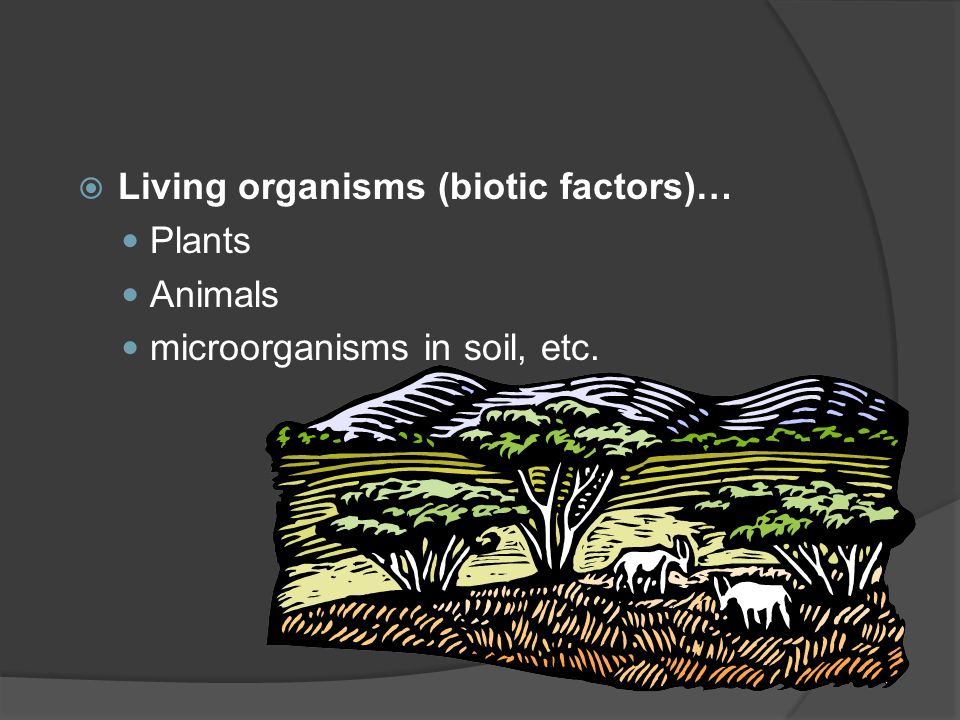  Living organisms (biotic factors)… Plants Animals microorganisms in soil, etc.