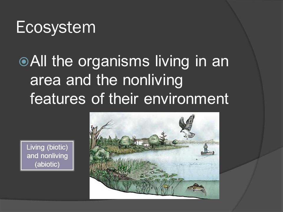 Ecosystem  All the organisms living in an area and the nonliving features of their environment Living (biotic) and nonliving (abiotic)
