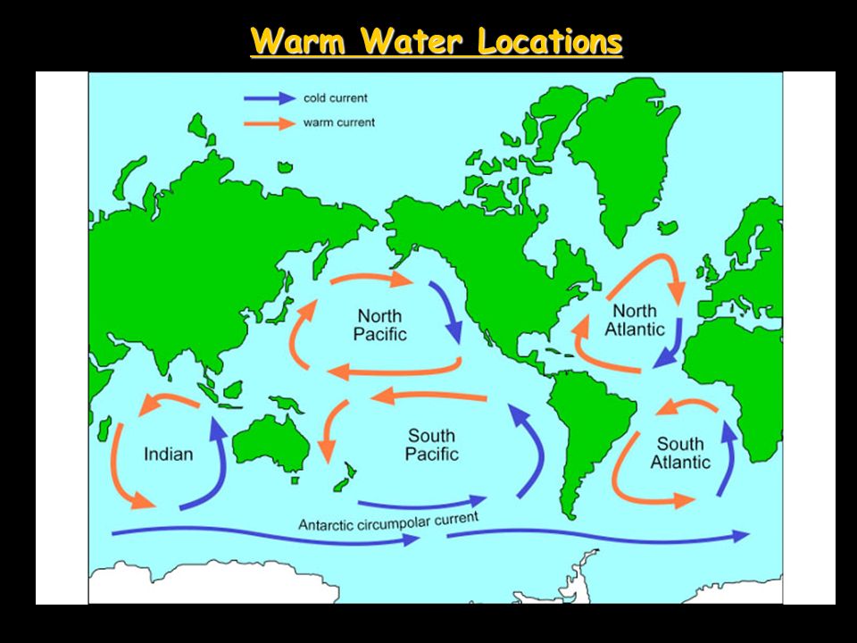 Warm Water Locations.
