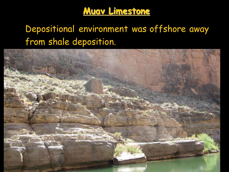 Muav Limestone Depositional environment was offshore away from shale deposition..