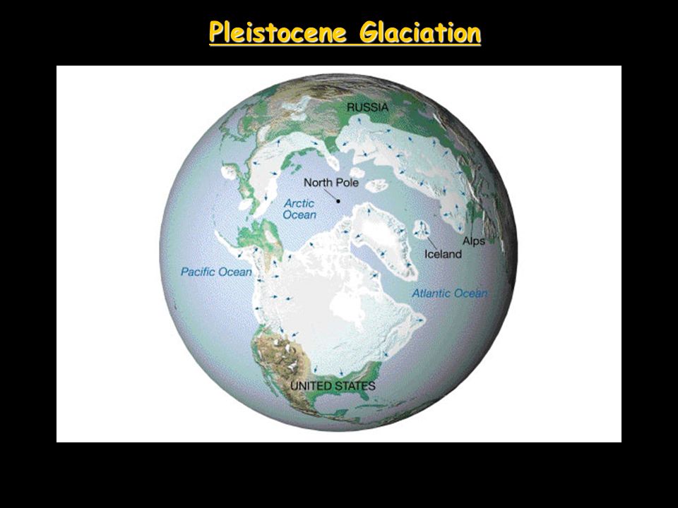 Pleistocene Glaciation.