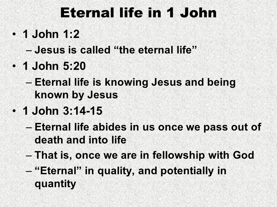 The First Epistle Of John Life In The Son 1 John 5 Ppt Download