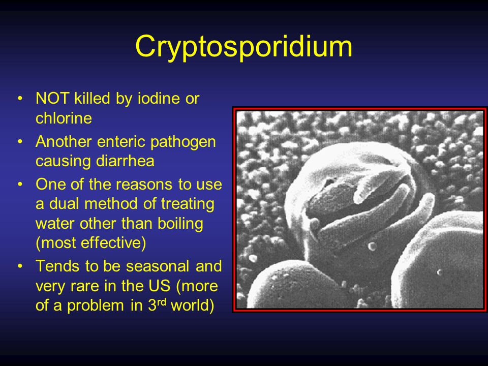 Cryptosporidium NOT killed by iodine or chlorine Another enteric pathogen causing diarrhea One of the reasons to use a dual method of treating water other than boiling (most effective) Tends to be seasonal and very rare in the US (more of a problem in 3 rd world)