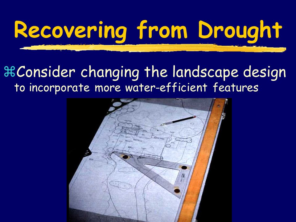 Recovering from Drought zConsider changing the landscape design to incorporate more water-efficient features