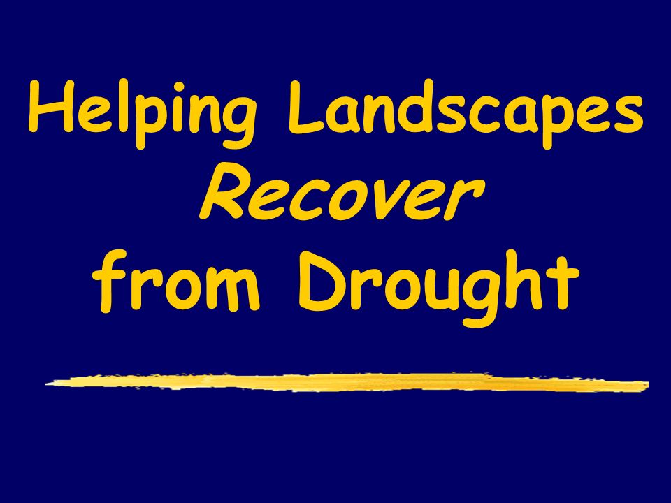 Helping Landscapes Recover from Drought