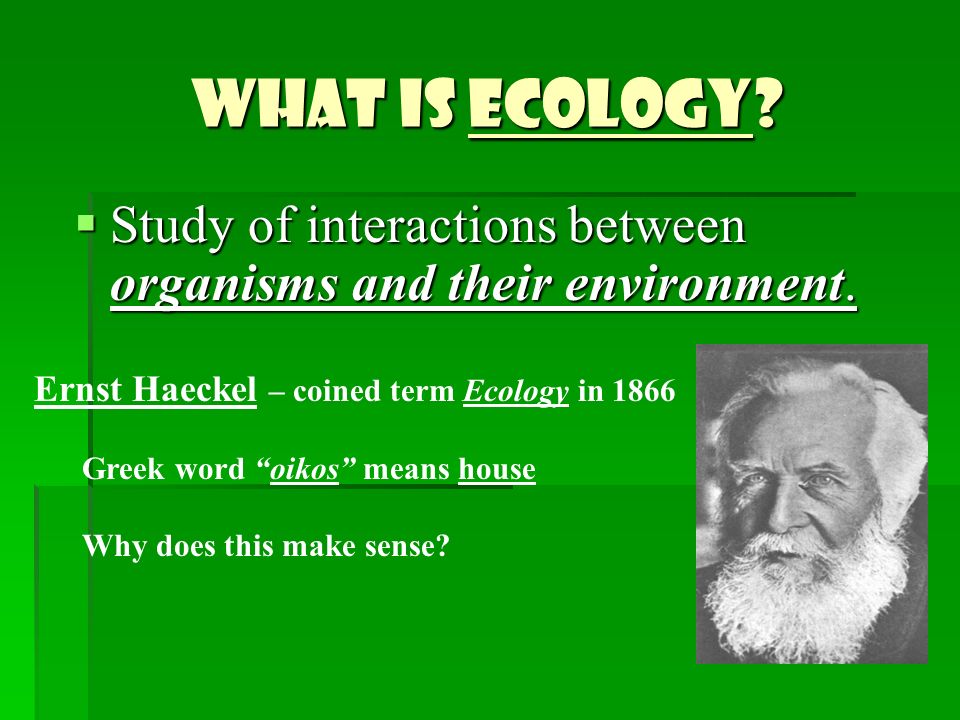 ECOLOGY. What is Ecology?  Study of interactions between organisms and  their environment. Ernst Haeckel – coined term Ecology in 1866 Greek word  “oikos” - ppt download