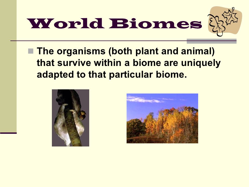 World Biomes Background: All of the livable space on the Earth makes up the biosphere.