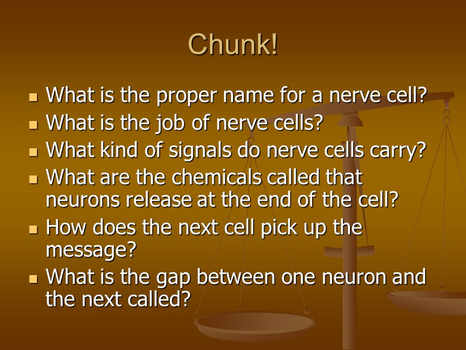Chunk. What is the proper name for a nerve cell. What is the proper name for a nerve cell.