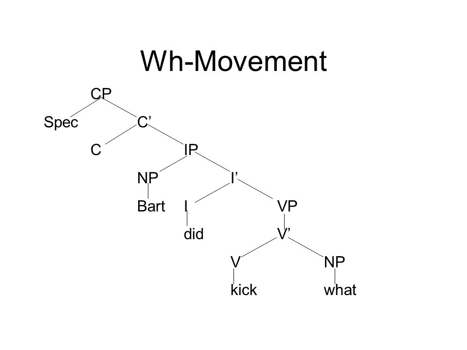 Wh-Movement CP SpecC’ CIP NPI’ BartIVP didV’ VNP kickwhat