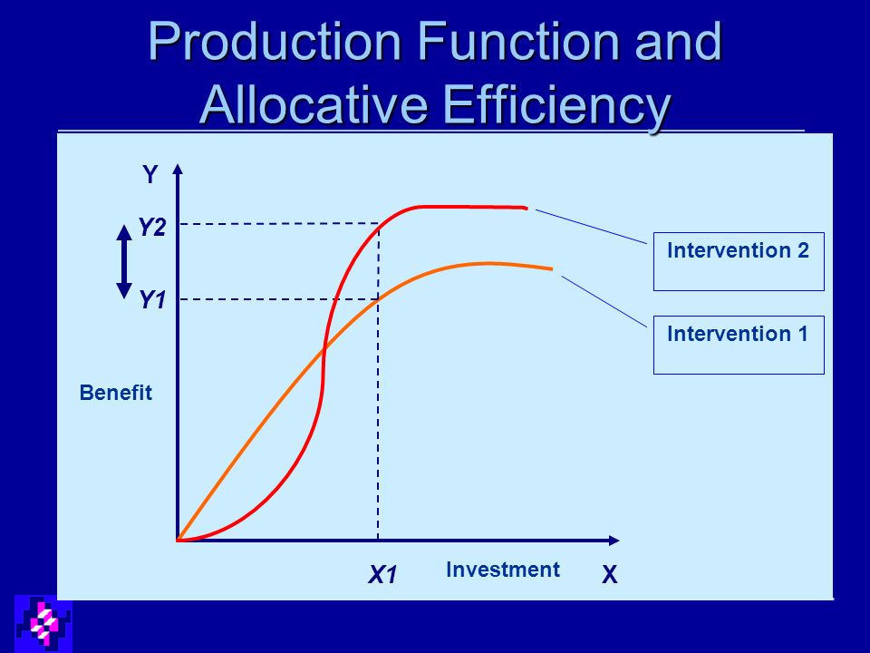 X Y X1 Y1 Y2 Benefit Investment Intervention 1 Intervention 2 Production Function and Allocative Efficiency