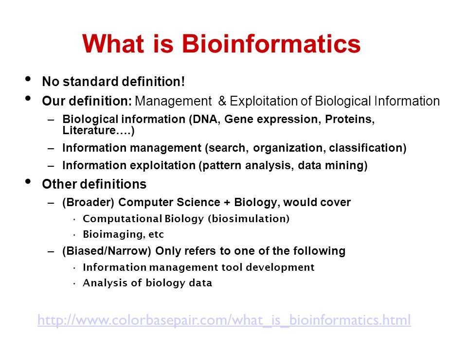 Introduction To Bioinformatics Lecture For Cs397 Cxz Algorithms