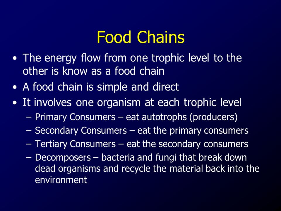 Food Chains The energy flow from one trophic level to the other is know as a food chain A food chain is simple and direct It involves one organism at each trophic level –Primary Consumers – eat autotrophs (producers) –Secondary Consumers – eat the primary consumers –Tertiary Consumers – eat the secondary consumers –Decomposers – bacteria and fungi that break down dead organisms and recycle the material back into the environment