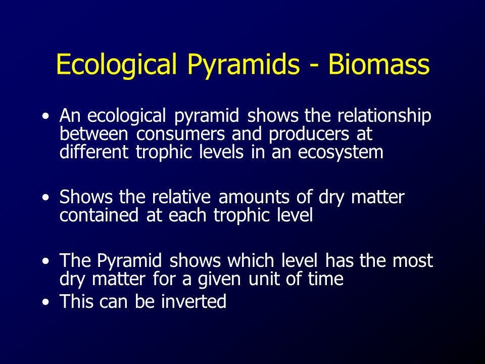 Ecological Pyramids - Biomass An ecological pyramid shows the relationship between consumers and producers at different trophic levels in an ecosystem Shows the relative amounts of dry matter contained at each trophic level The Pyramid shows which level has the most dry matter for a given unit of time This can be inverted