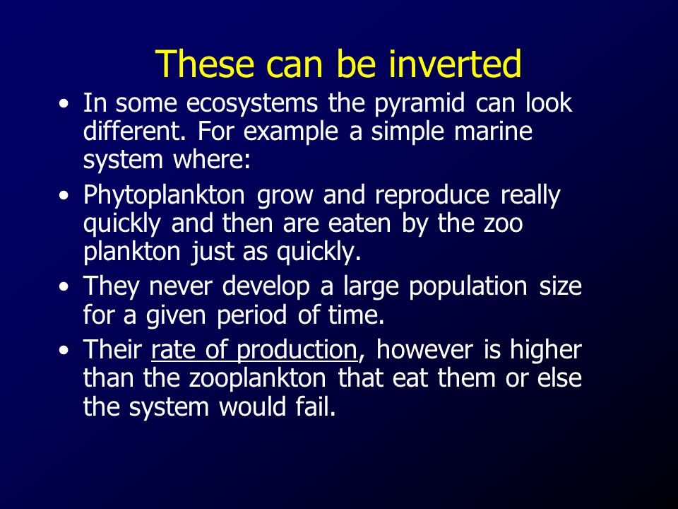 These can be inverted In some ecosystems the pyramid can look different.