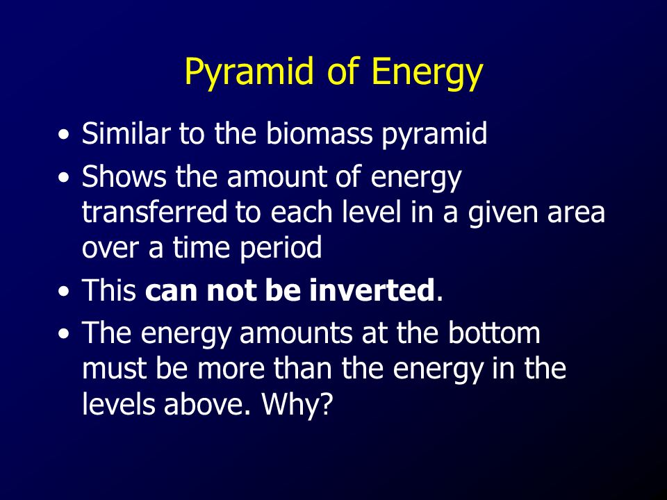Pyramid of Energy Similar to the biomass pyramid Shows the amount of energy transferred to each level in a given area over a time period This can not be inverted.