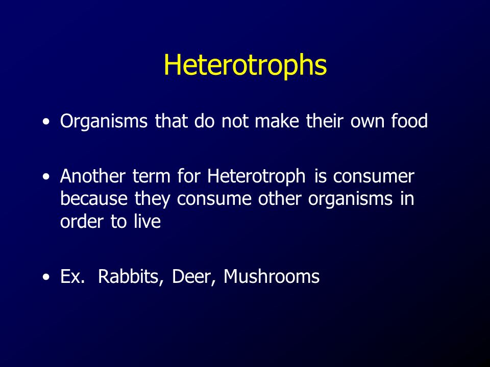 Heterotrophs Organisms that do not make their own food Another term for Heterotroph is consumer because they consume other organisms in order to live Ex.