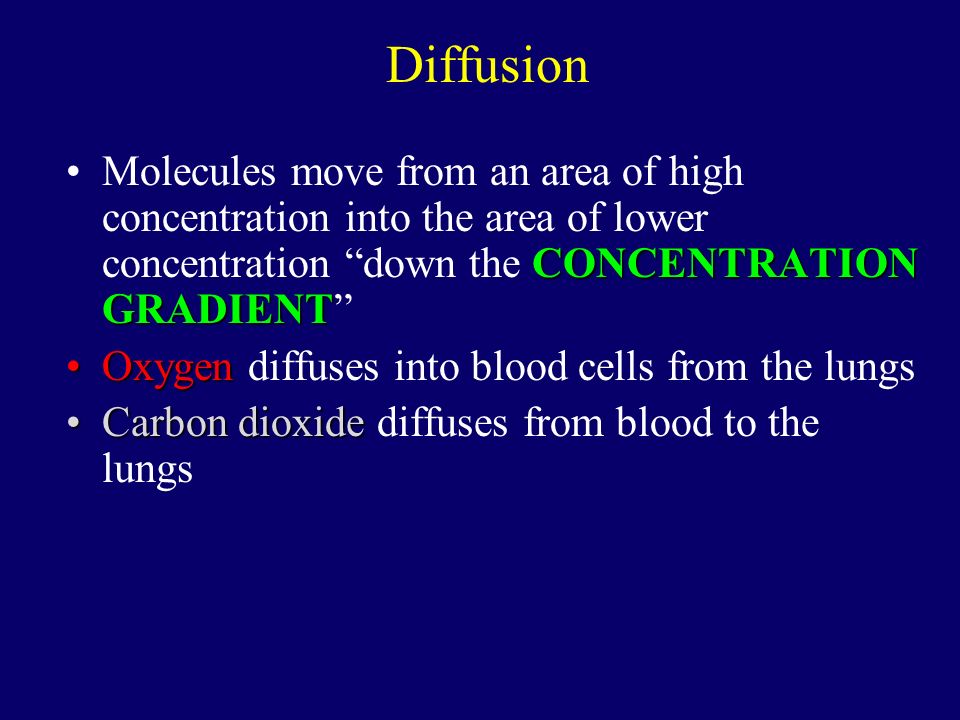 Diffusion CONCENTRATION GRADIENTMolecules move from an area of high concentration into the area of lower concentration down the CONCENTRATION GRADIENT OxygenOxygen diffuses into blood cells from the lungs Carbon dioxideCarbon dioxide diffuses from blood to the lungs
