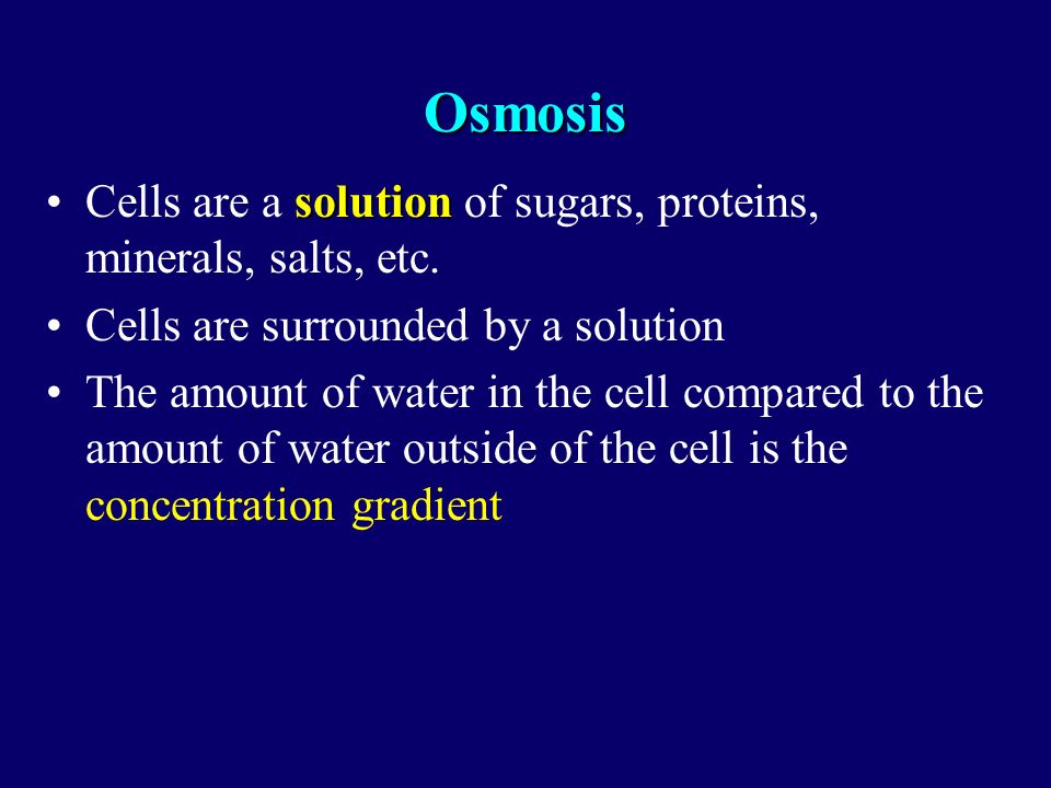 Osmosis solutionCells are a solution of sugars, proteins, minerals, salts, etc.