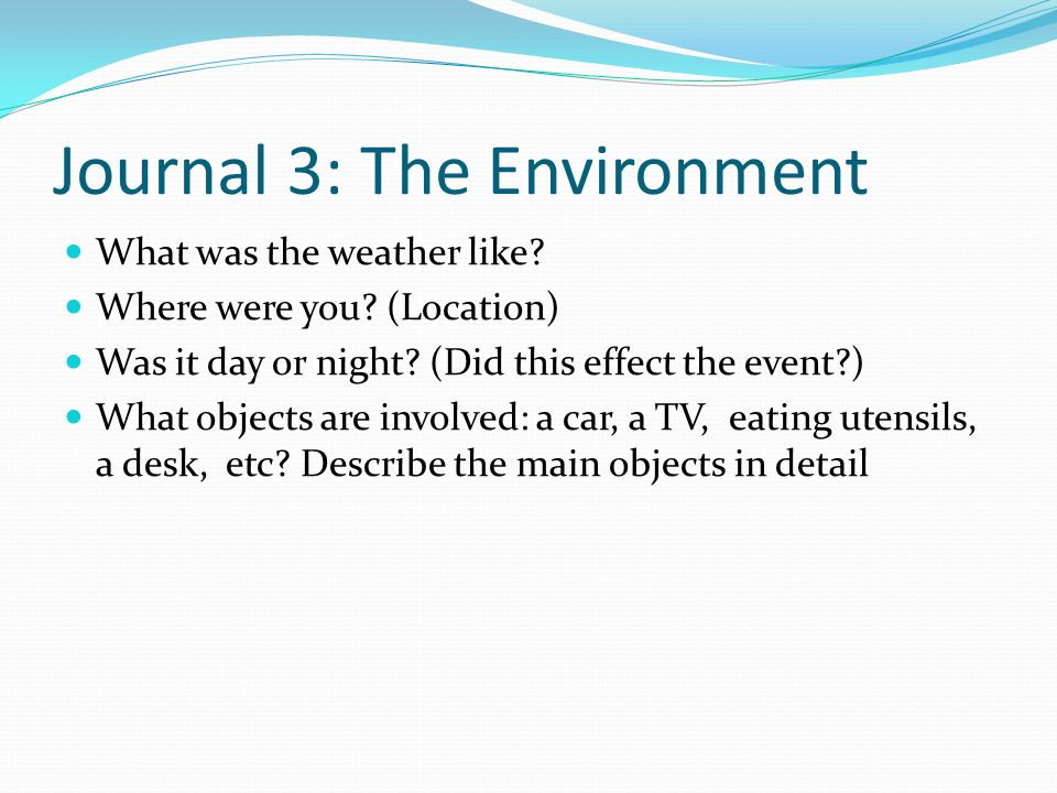 Journal 3: The Environment What was the weather like.