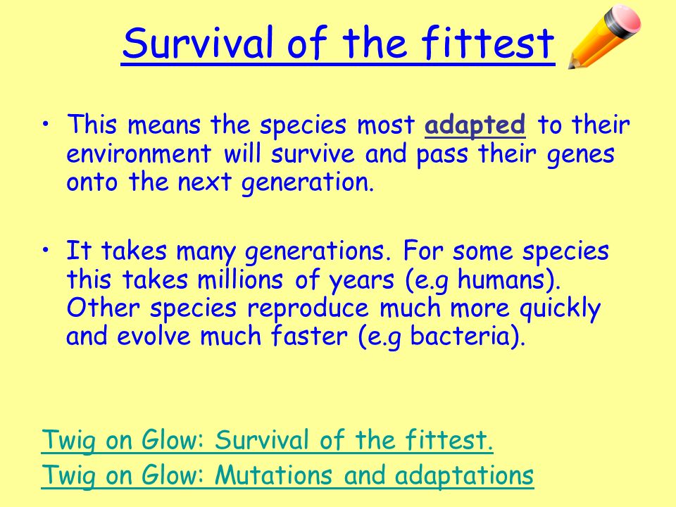 Survival of the Fittest, Definition & Examples