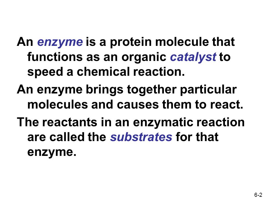 why are enzymes called organic catalysts