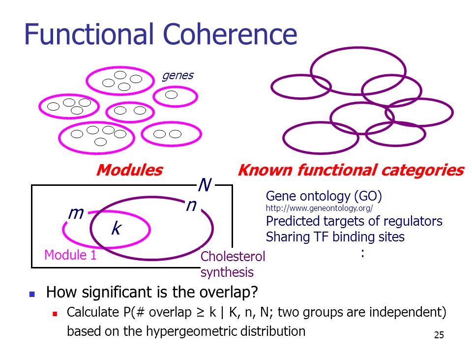 25 Functional Coherence How significant is the overlap.