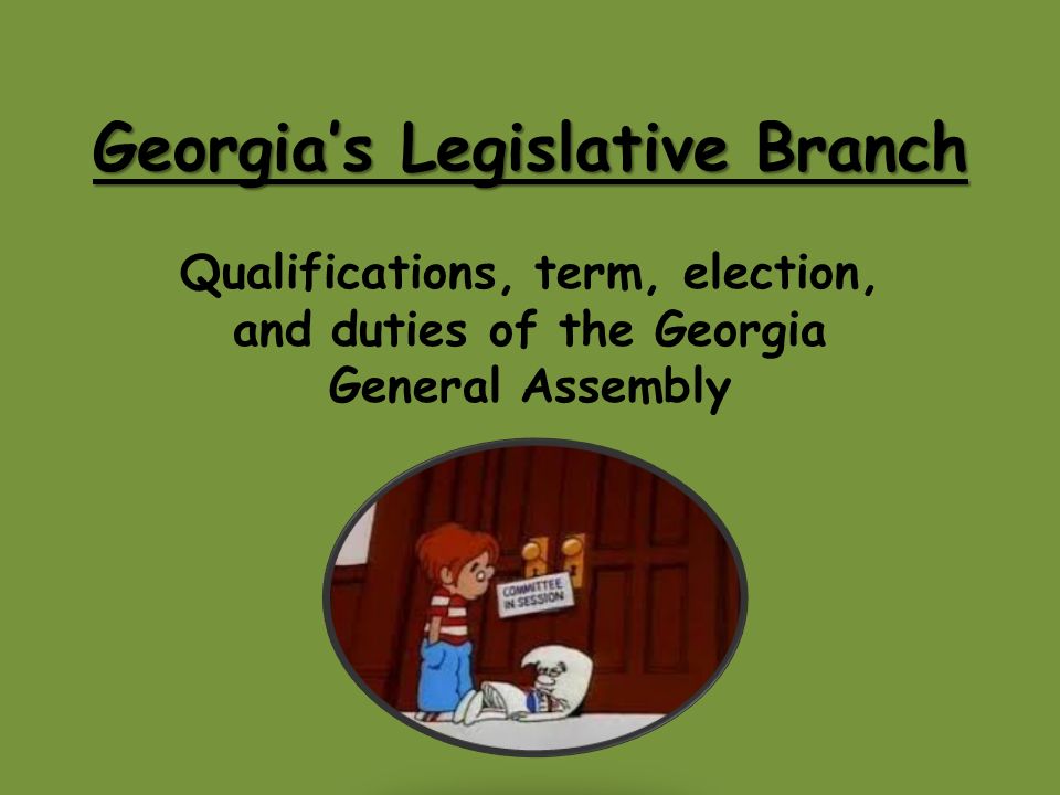 Georgia’s Legislative Branch Qualifications, term, election, and duties of the Georgia General Assembly
