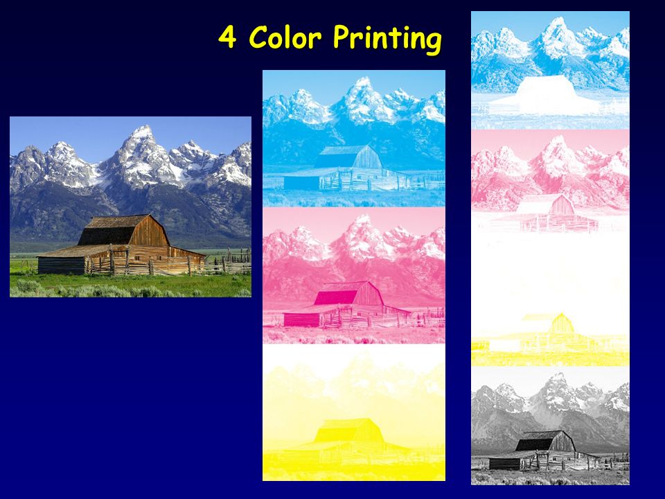 4 Color Printing