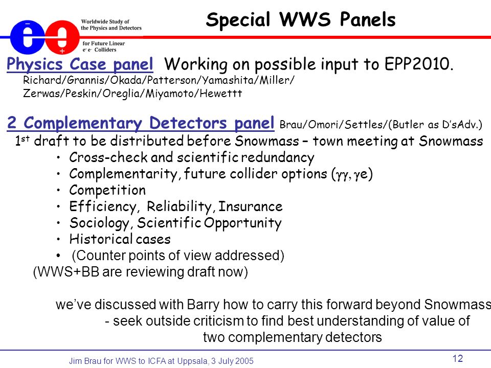 Jim Brau for WWS to ICFA at Uppsala, 3 July Special WWS Panels Physics Case panel Working on possible input to EPP2010.
