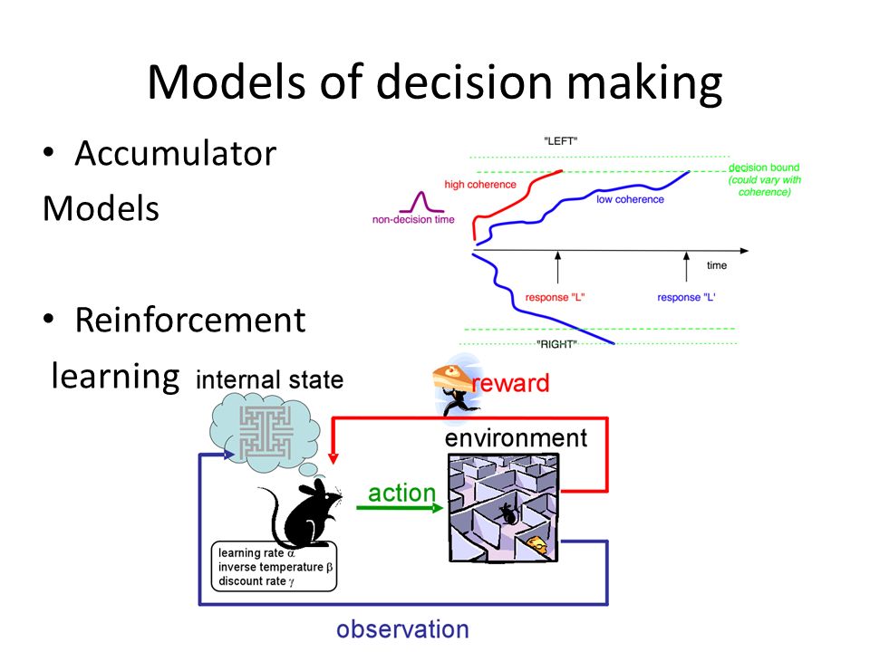 Models of decision making Accumulator Models Reinforcement learning