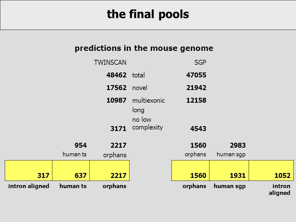 the final pools TWINSCANSGP 48462total novel multiexonic long no low complexity human ts 2217 orphans 1560 orphans 2983 human sgp intron alignedhuman tsorphans human sgpintron aligned predictions in the mouse genome