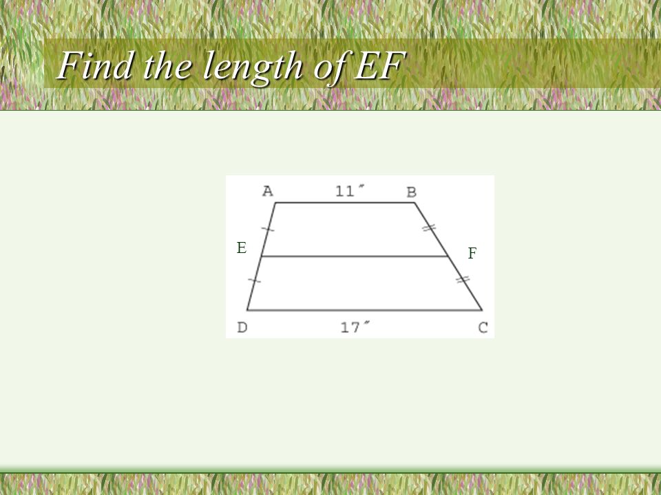 Find the length of EF E F