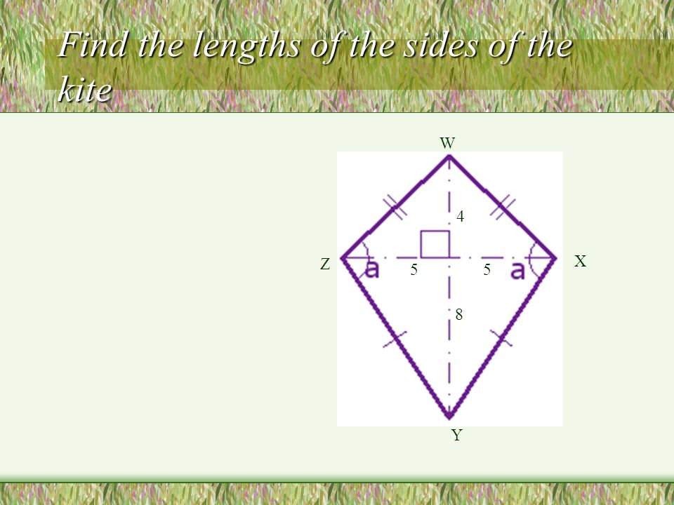 Find the lengths of the sides of the kite W X Y Z