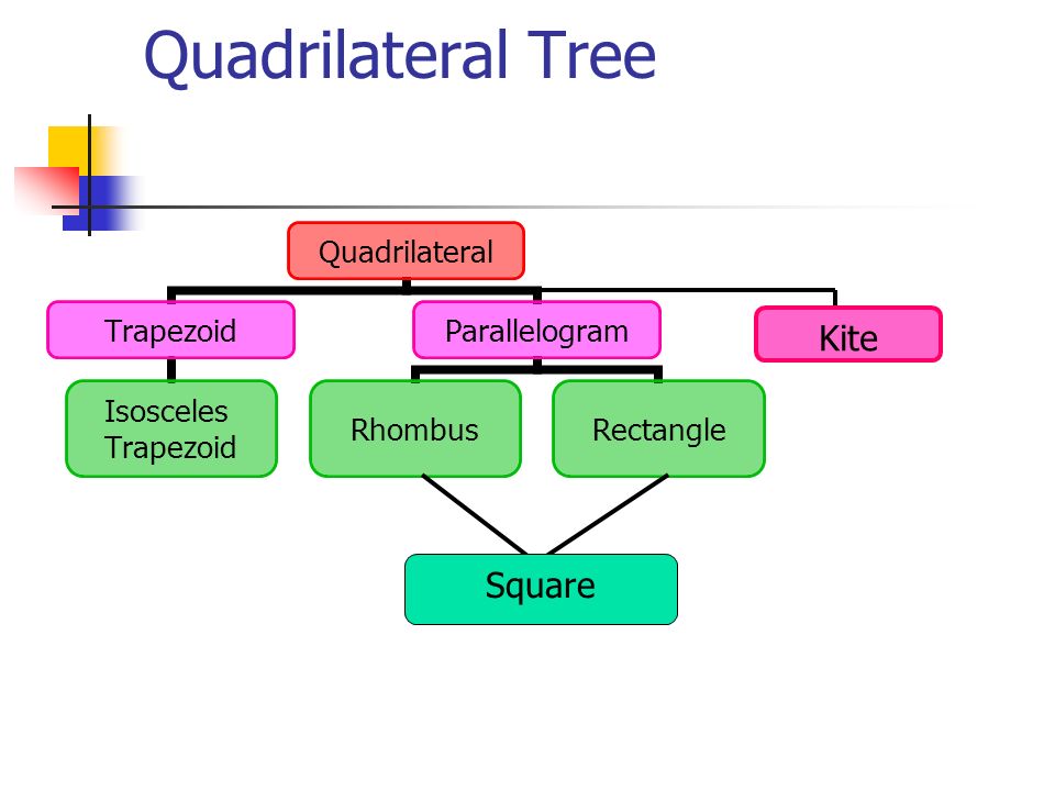Quadrilateral Trapezoid Isosceles Trapezoid Parallelogram RhombusRectangle Quadrilateral Tree Kite Square