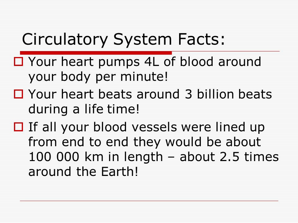 Circulatory System Facts:  Your heart pumps 4L of blood around your body per minute.