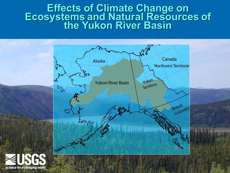 Река юкон относится к бассейну. Бассейн реки Юкон. Бассейн Аляска. Река Юкон климат. Исток реки Юкон.