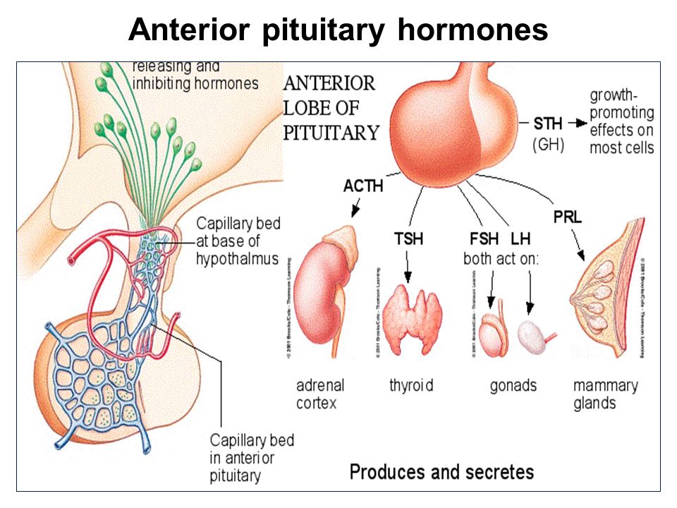 Hormonspritze bei prostatakrebs