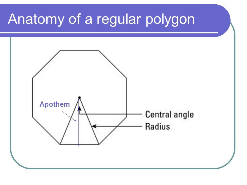 Anatomy of a regular polygon Apothem