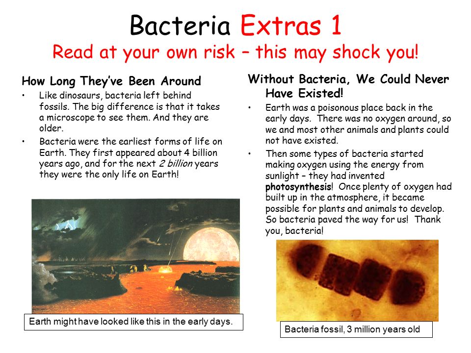 Bacteria Extras 1 Read at your own risk – this may shock you.
