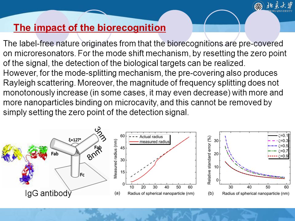 The impact of the biorecognition IgG antibody 8nm 3nm The label-free nature originates from that the biorecognitions are pre-covered on microresonators.
