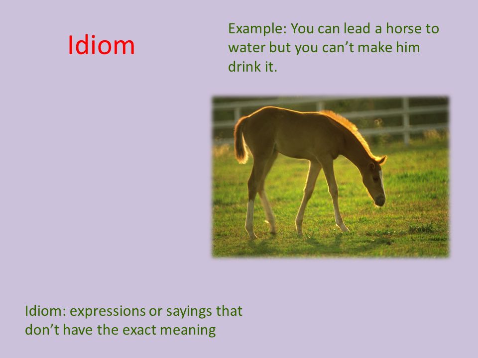 Idiom Idiom: expressions or sayings that don’t have the exact meaning Example: You can lead a horse to water but you can’t make him drink it.